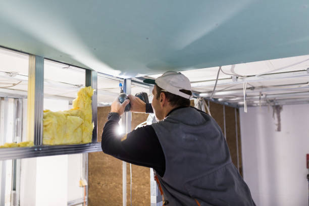 Best Attic Insulation Installation  in Hampton, AR